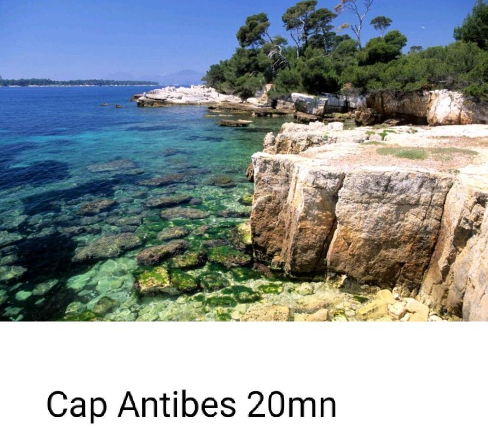Bel Appartement Les Pieds Dans L'Eau فينوف لوبيه المظهر الخارجي الصورة