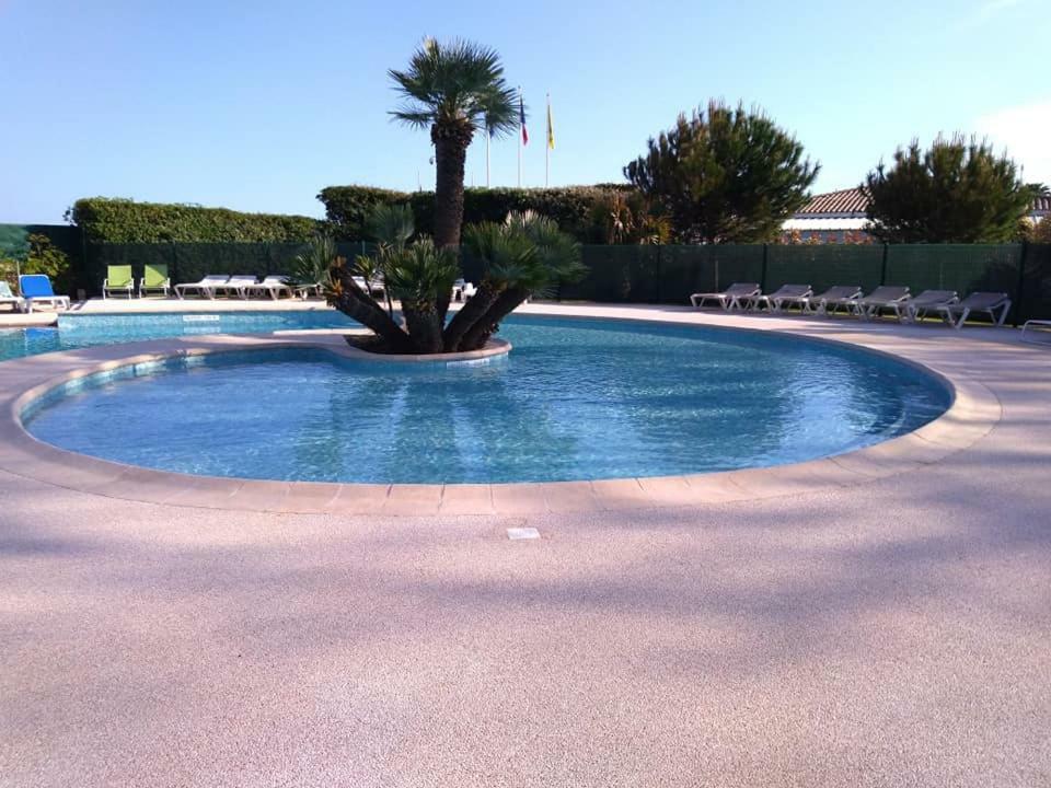 Bel Appartement Les Pieds Dans L'Eau فينوف لوبيه المظهر الخارجي الصورة