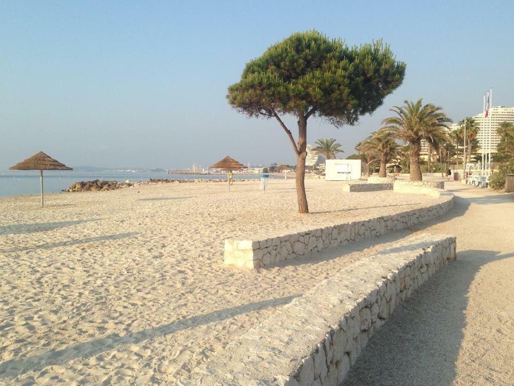 Bel Appartement Les Pieds Dans L'Eau فينوف لوبيه المظهر الخارجي الصورة